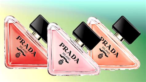 Prada Paradoxe: 3 Multi